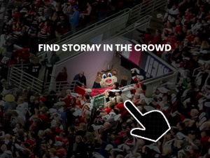 Where’s Waldo Style Experiences-image